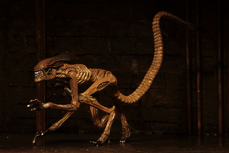 Alien / 7 Inch Action Figure Series: Alien 3 Creature Pack