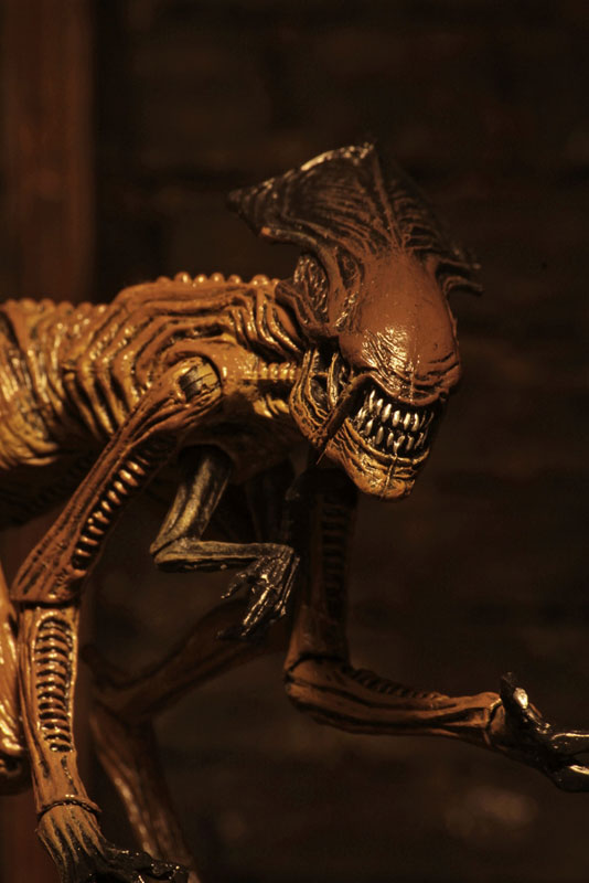 Alien / 7 Inch Action Figure Series: Alien 3 Creature Pack