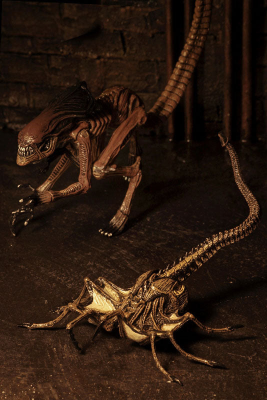 Alien / 7 Inch Action Figure Series: Alien 3 Creature Pack