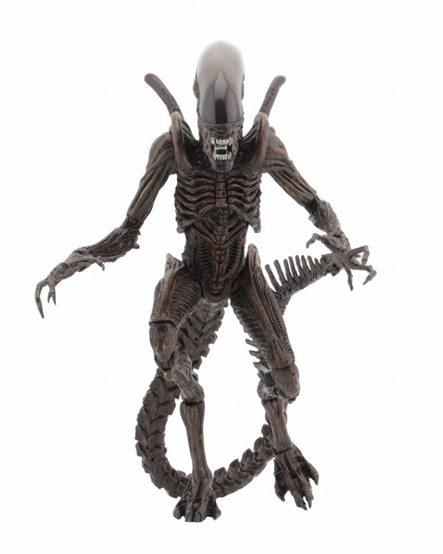 Alien / 7 Inch Action Figure Series 14 Alien Resurrection: 2Type Set