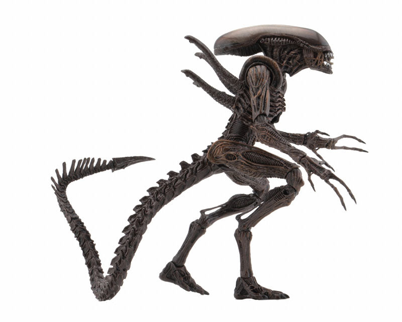 Alien / 7 Inch Action Figure Series 14 Alien Resurrection: 2Type Set