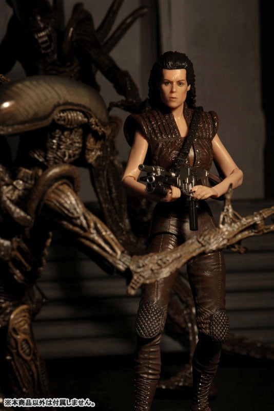 Alien / 7 Inch Action Figure Series 14 Alien Resurrection: 2Type Set