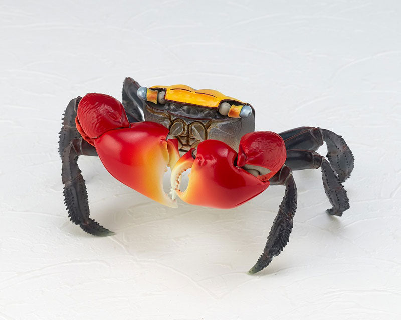 REVOGEO RG002 - Revoltech - Chiromantes Haematocheir (Red-Clawed Crab) (Kaiyodo)