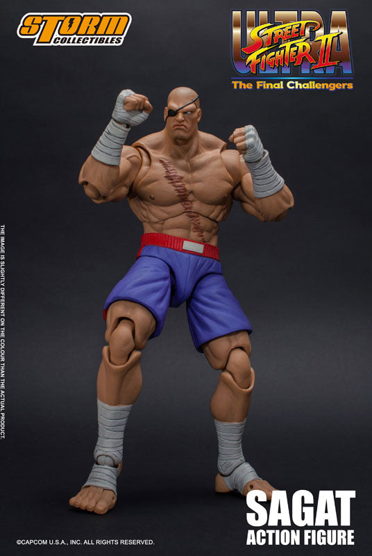 Sagat - Ultra Street Fighter II: The Final Challengers