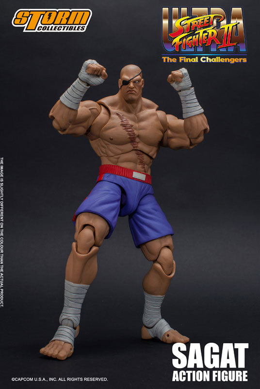 Sagat - Ultra Street Fighter II: The Final Challengers