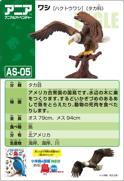 Ania AS-05 Eagle (Bald Eagle)