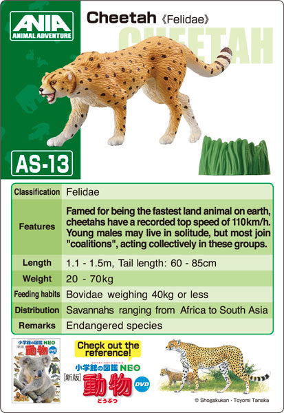Ania AS-13 Cheetah (Wild Ver.)