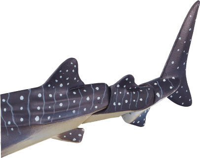 Ania AL-05 Whale Shark (Swimming in Water Ver.)