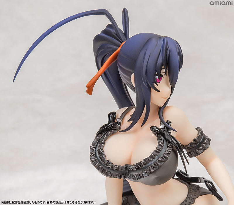 Himejima Akeno - High School DxD HERO