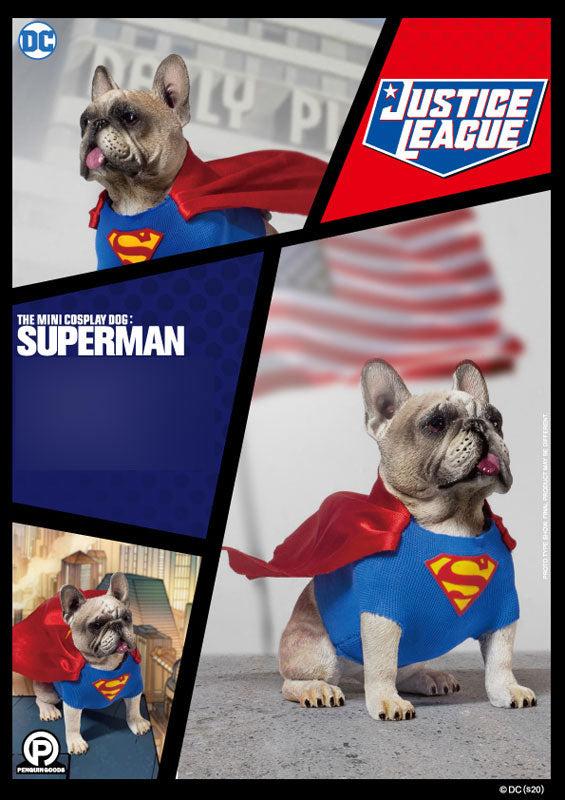"Cosplay Dog" Collection Figure Series CD #002 Superman