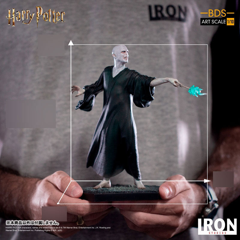 Voldemort(Tom Marvolo Riddle) - Battle Diorama