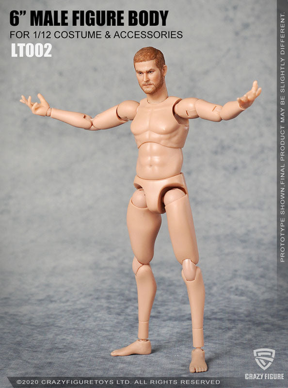 Multi Joint Movable 1/12 Scale Male Body With Neck