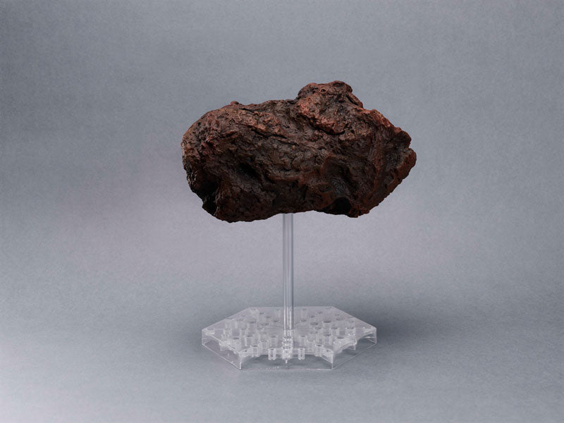 Asteroid Figure (L) Size Single Item Anime Color Ver. Film Production SERIES 06