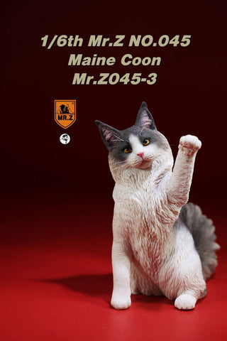 1/6 Maine Coon 3