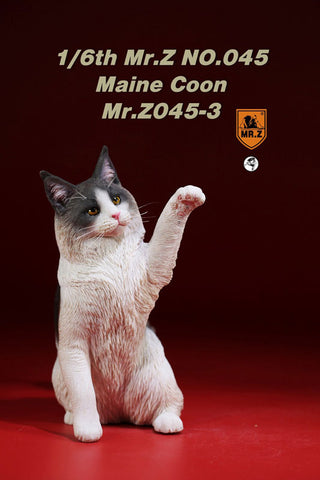 1/6 Maine Coon 3