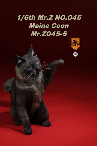 1/6 Maine Coon 5