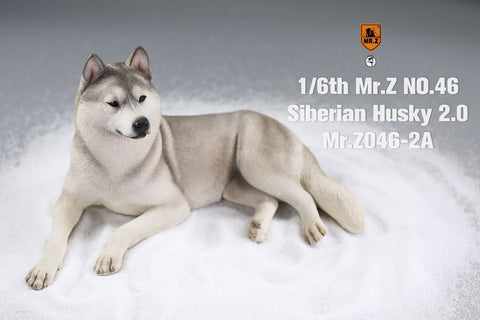 1/6 Siberian Husky 2.0 2A