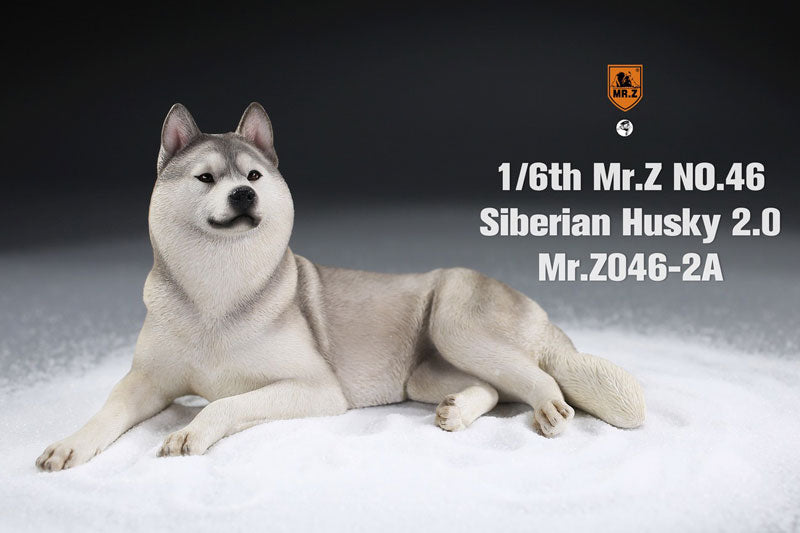 1/6 Siberian Husky 2.0 2A