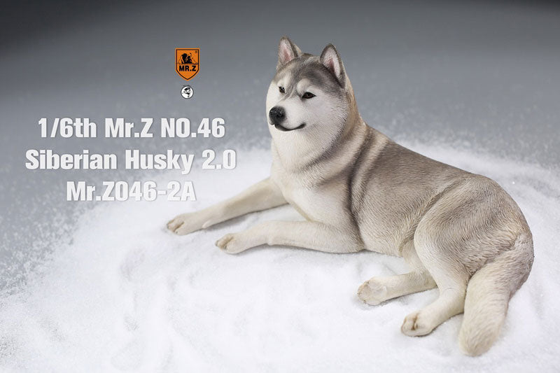 1/6 Siberian Husky 2.0 2A