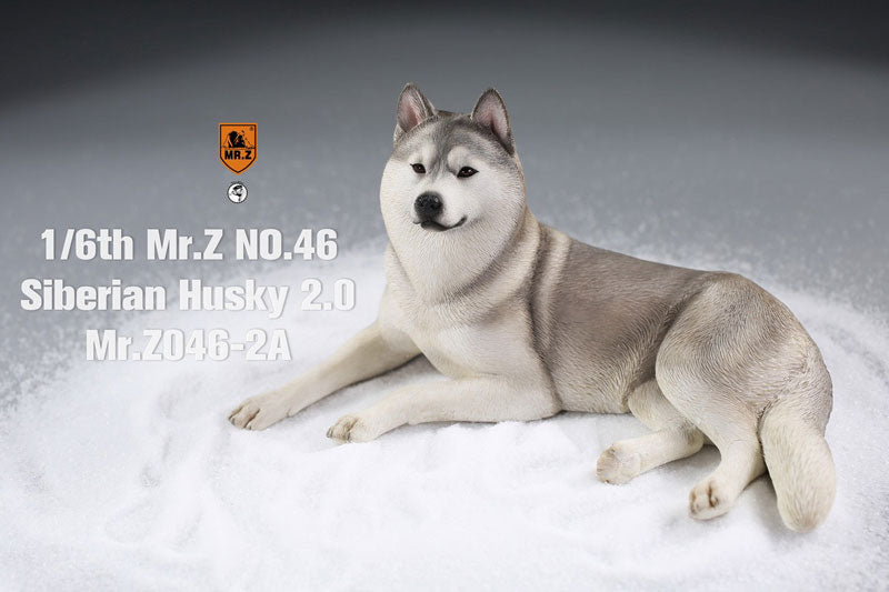 1/6 Siberian Husky 2.0 2A