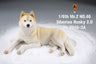 1/6 Siberian Husky 2.0 3A