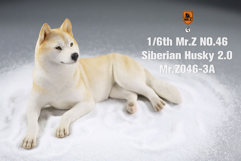 1/6 Siberian Husky 2.0 3A