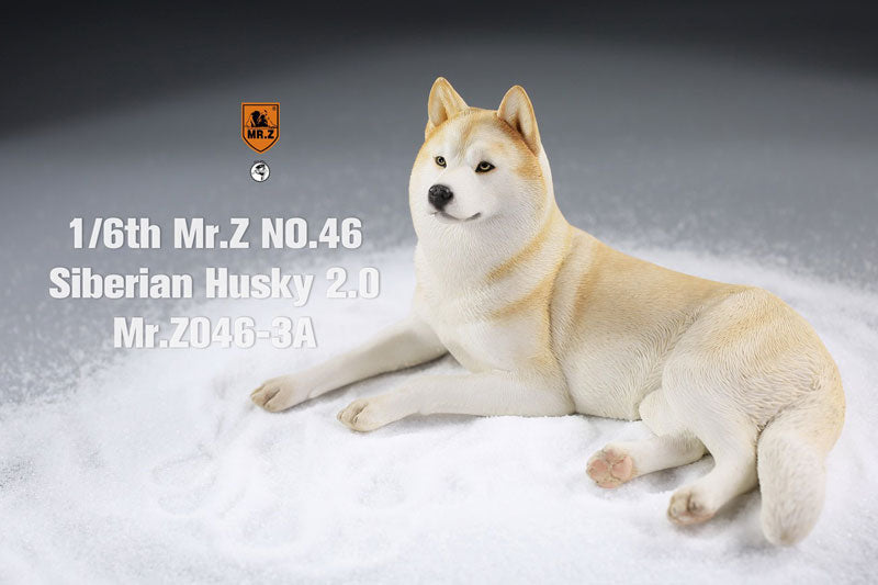 1/6 Siberian Husky 2.0 3A