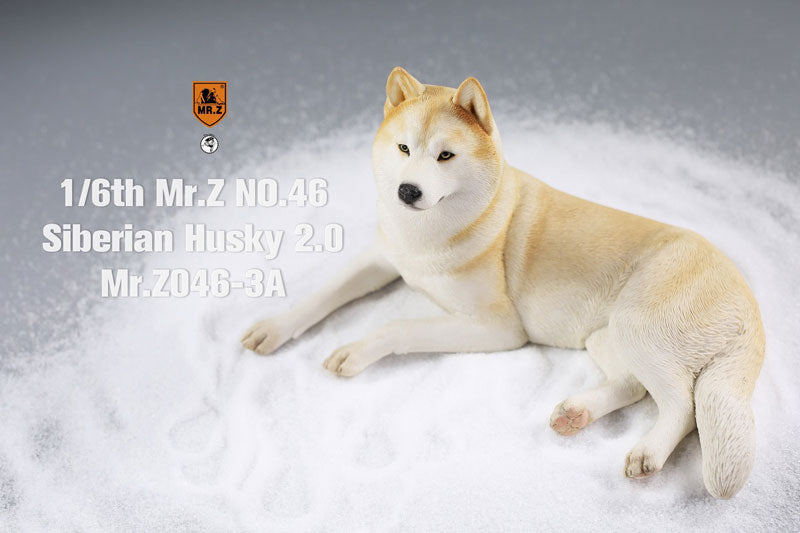 1/6 Siberian Husky 2.0 3A