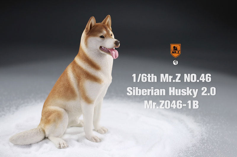 1/6 Siberian Husky 2.0 1B