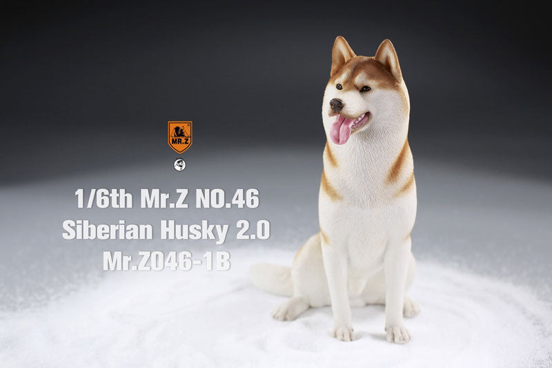 1/6 Siberian Husky 2.0 1B