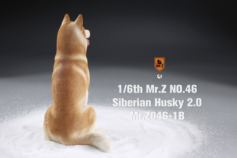 1/6 Siberian Husky 2.0 1B