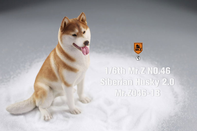 1/6 Siberian Husky 2.0 1B