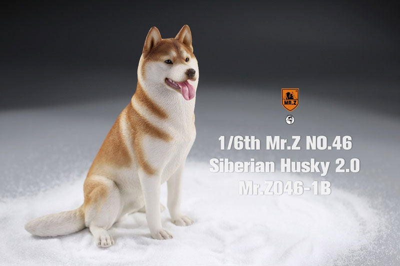 1/6 Siberian Husky 2.0 1B