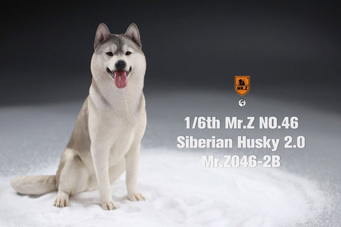 1/6 Siberian Husky 2.0 2B