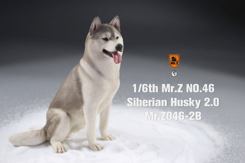 1/6 Siberian Husky 2.0 2B