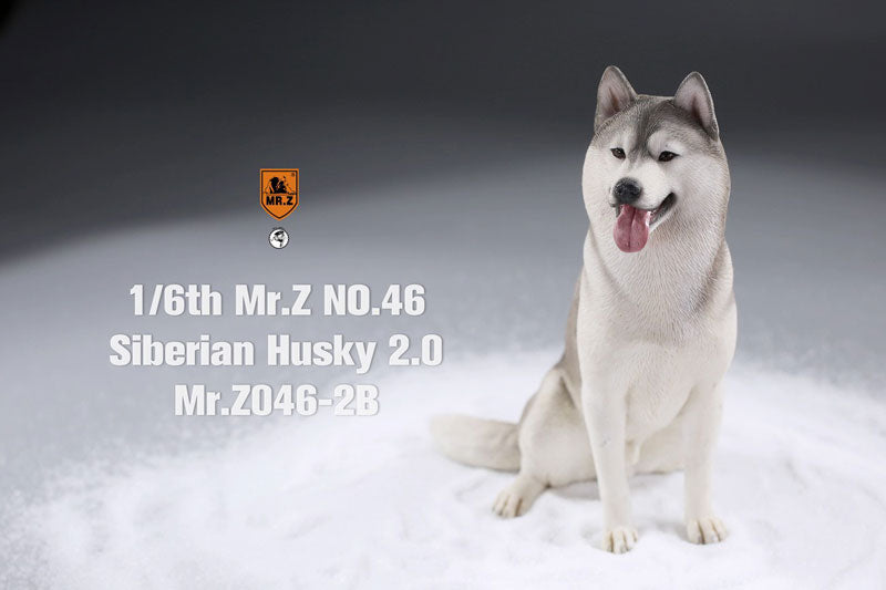 1/6 Siberian Husky 2.0 2B