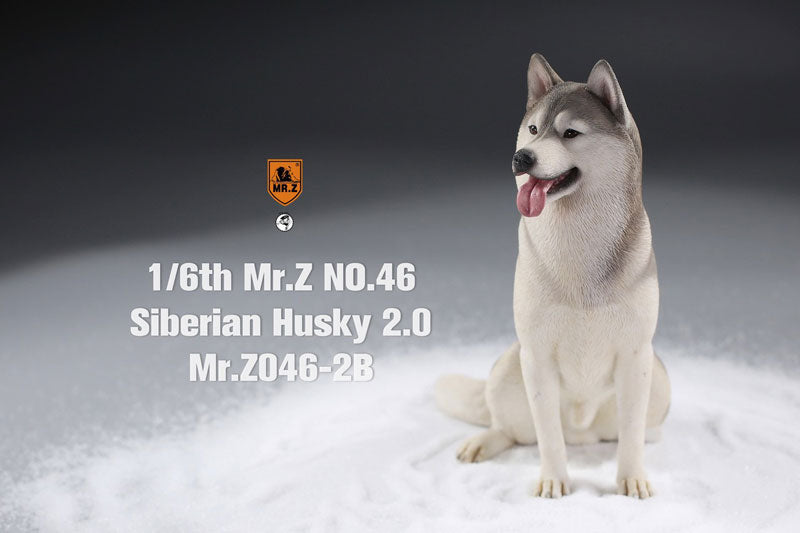 1/6 Siberian Husky 2.0 2B