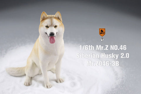 1/6 Siberian Husky 2.0 3B