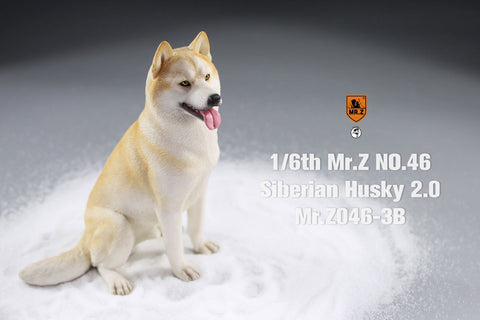 1/6 Siberian Husky 2.0 3B