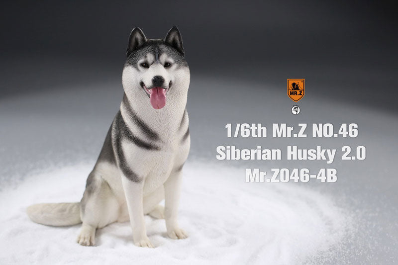 1/6 Siberian Husky 2.0 4B