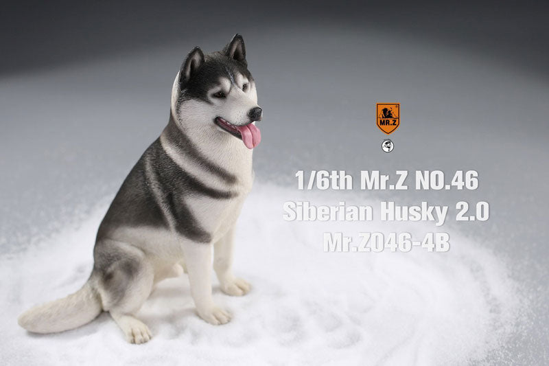 1/6 Siberian Husky 2.0 4B