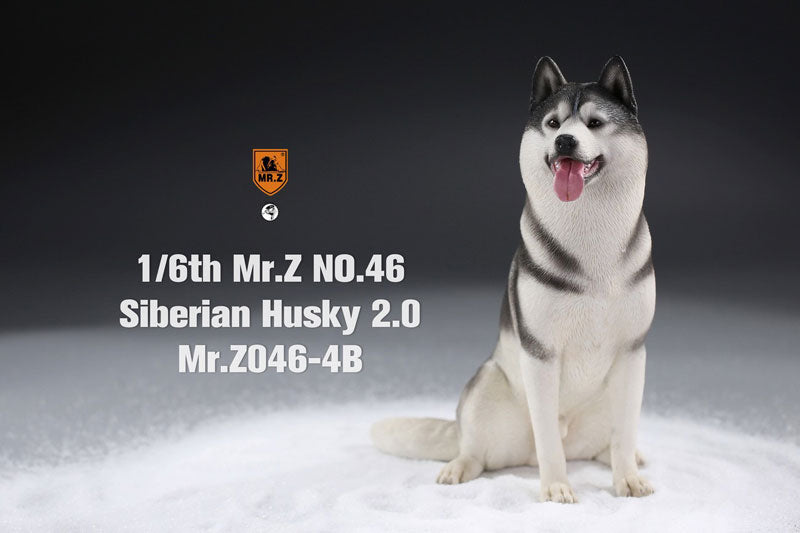 1/6 Siberian Husky 2.0 4B