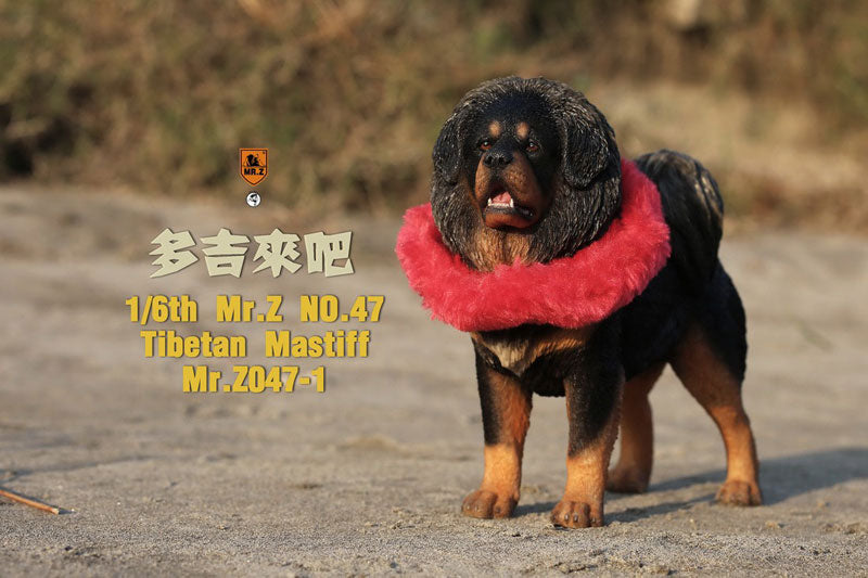 1/6 Tibetan Mastiff 1