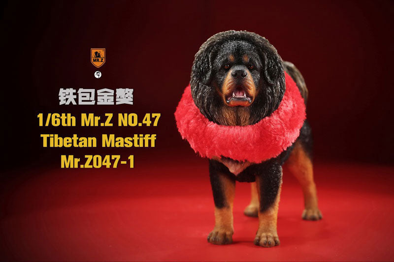 1/6 Tibetan Mastiff 1