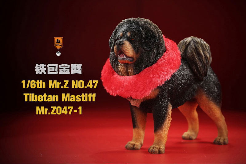 1/6 Tibetan Mastiff 1