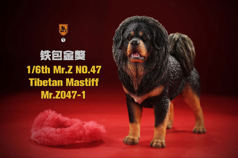 1/6 Tibetan Mastiff 1