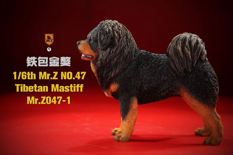 1/6 Tibetan Mastiff 1