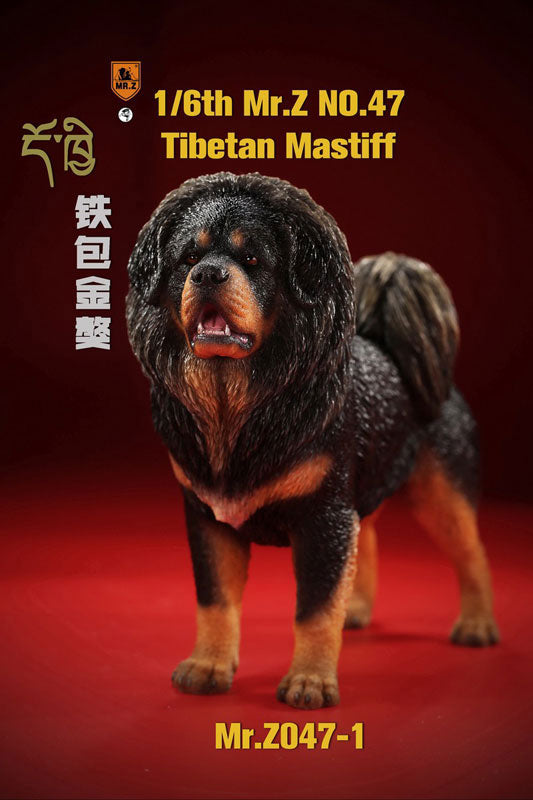 1/6 Tibetan Mastiff 1