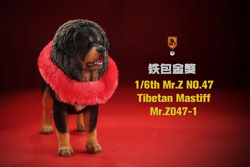 1/6 Tibetan Mastiff 1