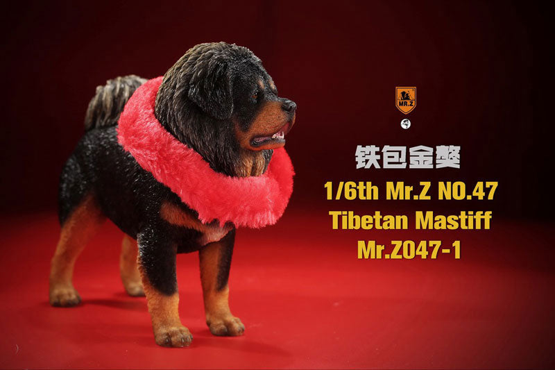 1/6 Tibetan Mastiff 1